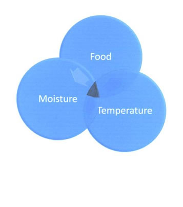 requirement figure for hotspots by ABC Hansen
